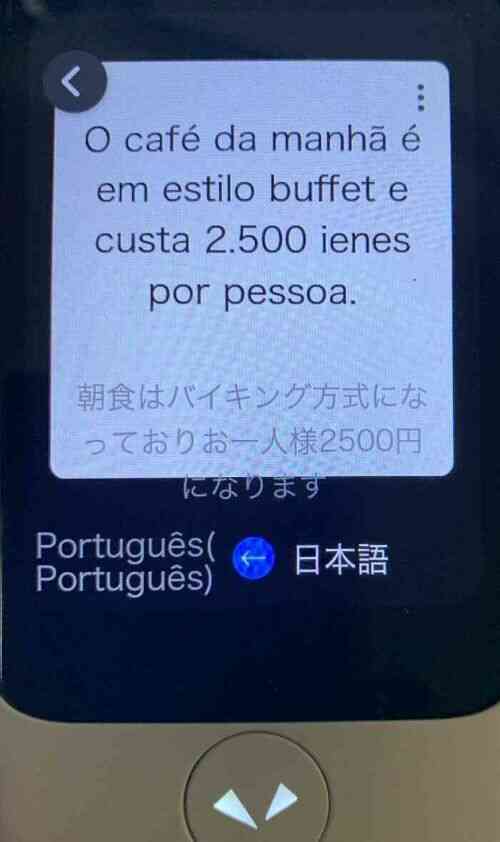 ポルトガル語のポケトークの結果